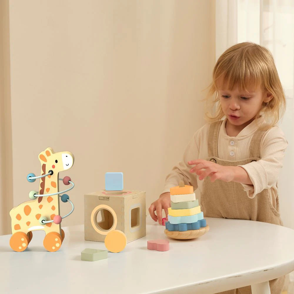 3-in-1 Giraffe Gift Box - TookyToy