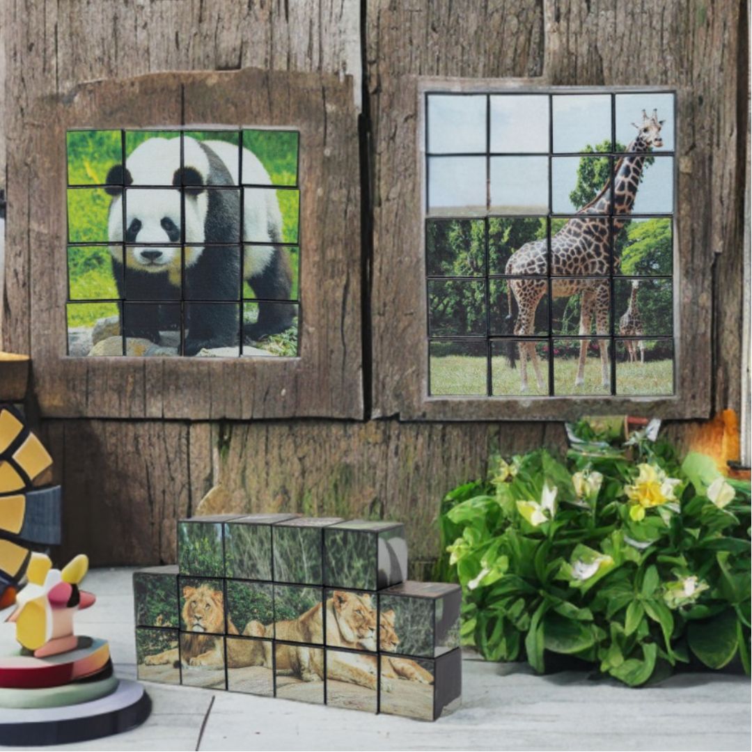 Magic 3D Magnetic Building Block Puzzle