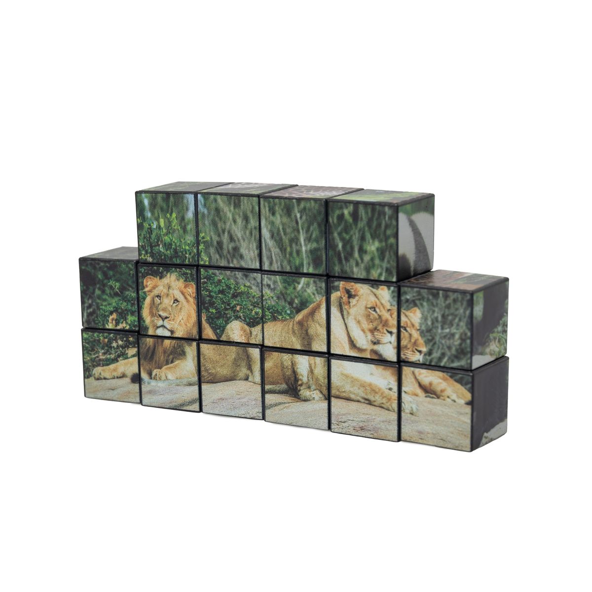 Magic 3D Magnetic Building Block Puzzle