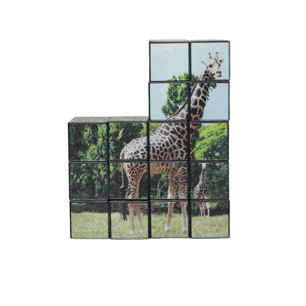 Magic 3D Magnetic Building Block Puzzle